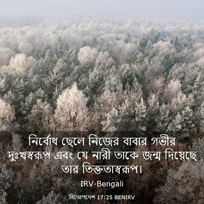 Picture 03 - হিতোপদেশ 17:25 BENIRV - নির্বোধ ছেলে - Bible Verse Picture