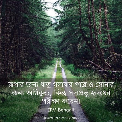 Picture 03 - হিতোপদেশ 17:3 BENIRV - রূপার জন্য ধাতু - Bible Verse Picture