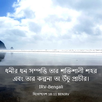 Picture 03 - হিতোপদেশ 18:11 BENIRV - ধনীর ধন সম্পত্তি - Bible Verse Picture