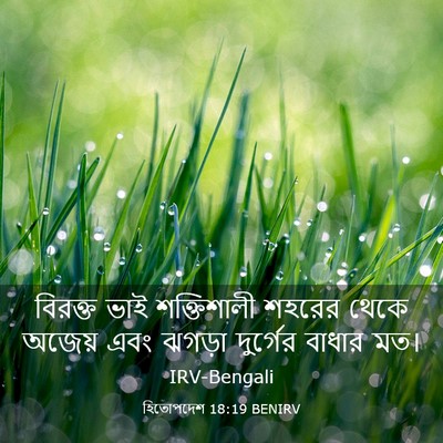 Picture 03 - হিতোপদেশ 18:19 BENIRV - বিরক্ত ভাই - Bible Verse Picture