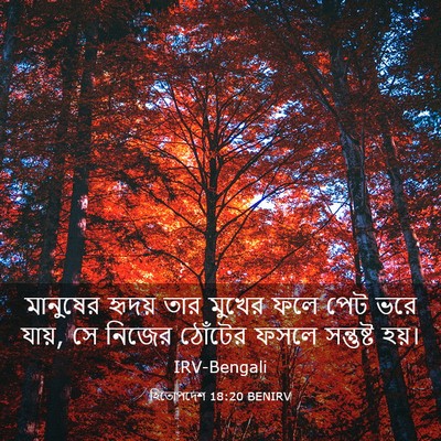 Picture 03 - হিতোপদেশ 18:20 BENIRV - মানুষের হৃদয় তার - Bible Verse Picture