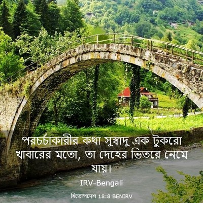 Picture 03 - হিতোপদেশ 18:8 BENIRV - পরচর্চাকারীর কথা - Bible Verse Picture