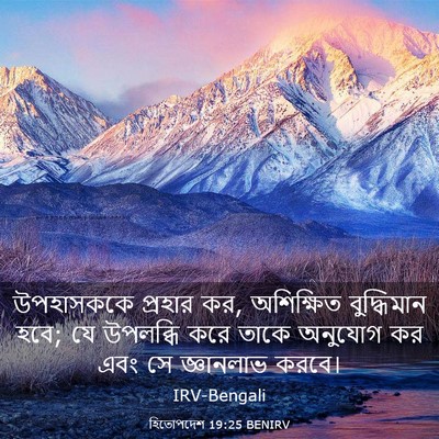 Picture 03 - হিতোপদেশ 19:25 BENIRV - উপহাসককে প্রহার - Bible Verse Picture