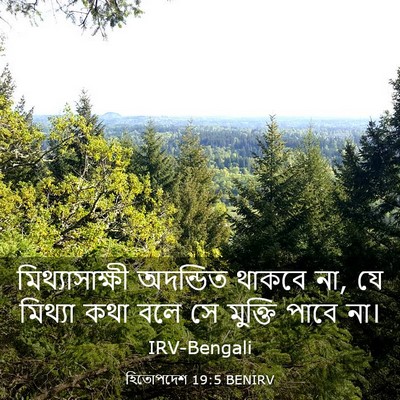 Picture 03 - হিতোপদেশ 19:5 BENIRV - মিথ্যাসাক্ষী - Bible Verse Picture