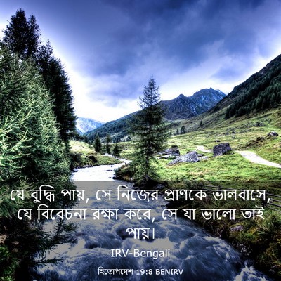 Picture 03 - হিতোপদেশ 19:8 BENIRV - যে বুদ্ধি পায়, সে - Bible Verse Picture