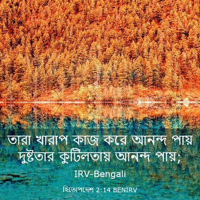 Picture 03 - হিতোপদেশ 2:14 BENIRV - তারা খারাপ কাজ করে - Bible Verse Picture