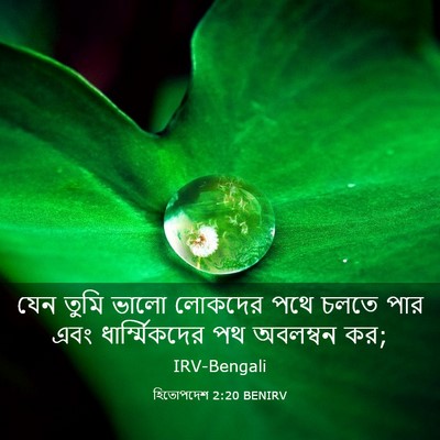 Picture 03 - হিতোপদেশ 2:20 BENIRV - যেন তুমি ভালো - Bible Verse Picture