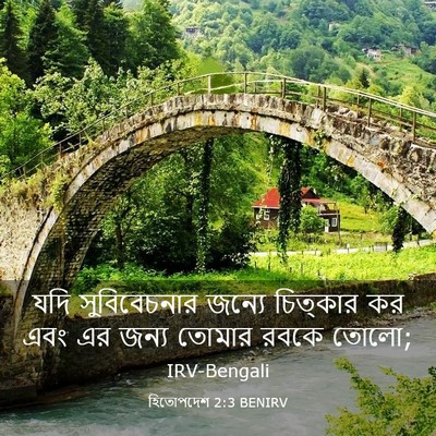 Picture 03 - হিতোপদেশ 2:3 BENIRV - যদি সুবিবেচনার - Bible Verse Picture
