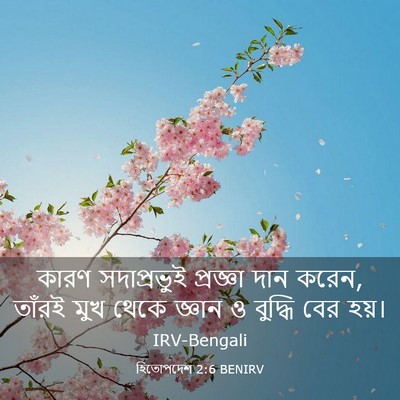 Picture 03 - হিতোপদেশ 2:6 BENIRV - কারণ সদাপ্রভুই - Bible Verse Picture