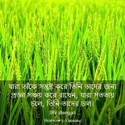 Picture 03 - হিতোপদেশ 2:7 BENIRV - যারা তাঁকে - Bible Verse Picture