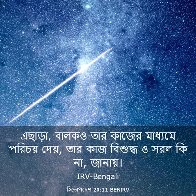 Picture 03 - হিতোপদেশ 20:11 BENIRV - এছাড়া, বালকও তার - Bible Verse Picture