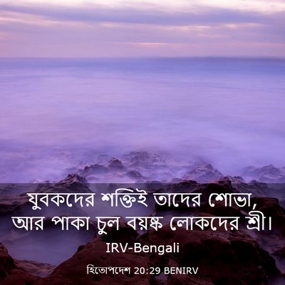 Picture 03 - হিতোপদেশ 20:29 BENIRV - যুবকদের শক্তিই - Bible Verse Picture