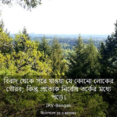 Picture 03 - হিতোপদেশ 20:3 BENIRV - বিবাদ থেকে সরে - Bible Verse Picture