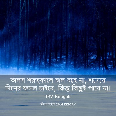Picture 03 - হিতোপদেশ 20:4 BENIRV - অলস শরত্কালে হাল - Bible Verse Picture