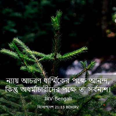 Picture 03 - হিতোপদেশ 21:15 BENIRV - ন্যায় আচরণ - Bible Verse Picture