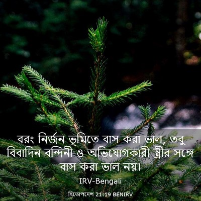 Picture 03 - হিতোপদেশ 21:19 BENIRV - বরং নির্জন ভূমিতে - Bible Verse Picture