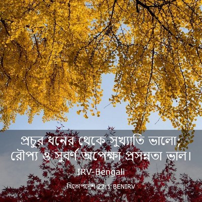 Picture 03 - হিতোপদেশ 22:1 BENIRV - প্রচুর ধনের থেকে - Bible Verse Picture