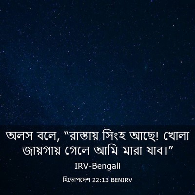 Picture 03 - হিতোপদেশ 22:13 BENIRV - অলস বলে, “রাস্তায় - Bible Verse Picture