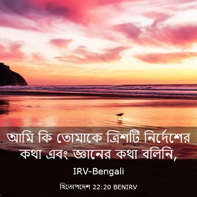 Picture 03 - হিতোপদেশ 22:20 BENIRV - আমি কি তোমাকে - Bible Verse Picture