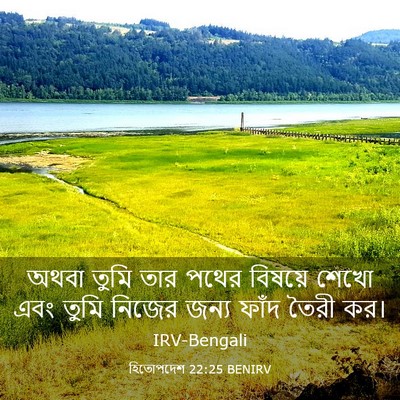 Picture 03 - হিতোপদেশ 22:25 BENIRV - অথবা তুমি তার পথের - Bible Verse Picture
