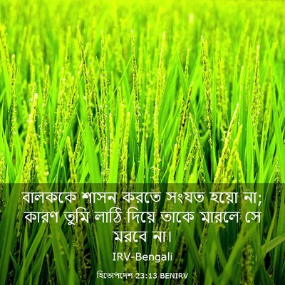 Picture 03 - হিতোপদেশ 23:13 BENIRV - বালককে শাসন করতে - Bible Verse Picture