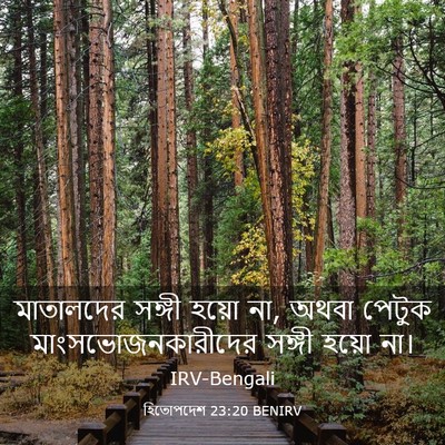 Picture 03 - হিতোপদেশ 23:20 BENIRV - মাতালদের সঙ্গী - Bible Verse Picture