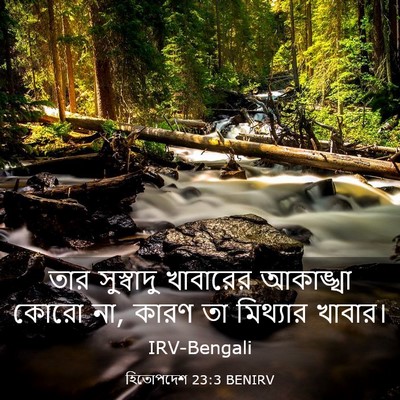 Picture 03 - হিতোপদেশ 23:3 BENIRV - তার সুস্বাদু - Bible Verse Picture