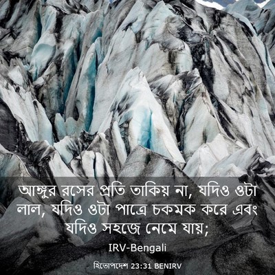 Picture 03 - হিতোপদেশ 23:31 BENIRV - আঙ্গুর রসের প্রতি - Bible Verse Picture