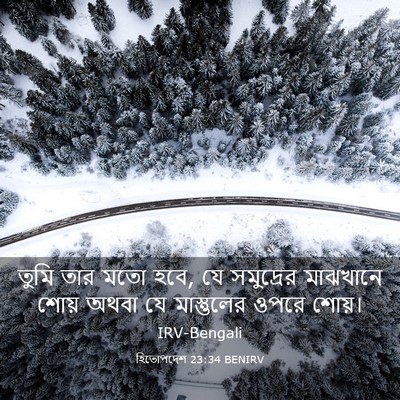 Picture 03 - হিতোপদেশ 23:34 BENIRV - তুমি তার মতো হবে, - Bible Verse Picture