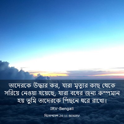 Picture 03 - হিতোপদেশ 24:11 BENIRV - তাদেরকে উদ্ধার কর, - Bible Verse Picture