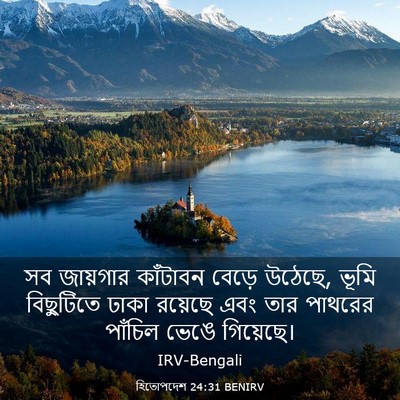 Picture 03 - হিতোপদেশ 24:31 BENIRV - সব জায়গার - Bible Verse Picture
