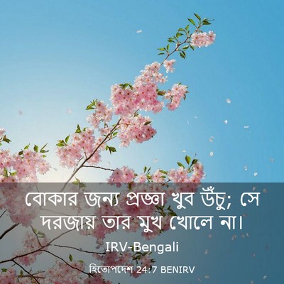 Picture 03 - হিতোপদেশ 24:7 BENIRV - বোকার জন্য - Bible Verse Picture
