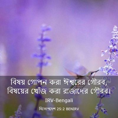 Picture 03 - হিতোপদেশ 25:2 BENIRV - বিষয় গোপন করা - Bible Verse Picture