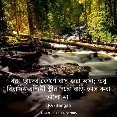 Picture 03 - হিতোপদেশ 25:24 BENIRV - বরং ছাদের কোণে বাস - Bible Verse Picture