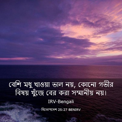 Picture 03 - হিতোপদেশ 25:27 BENIRV - বেশি মধু খাওয়া - Bible Verse Picture