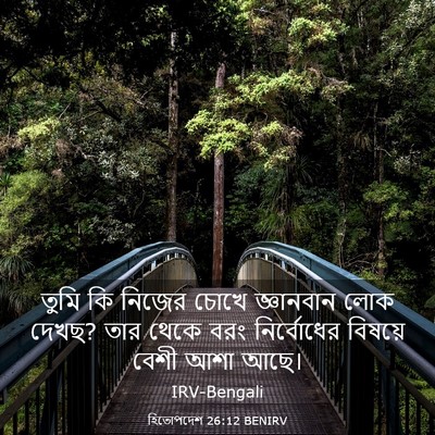 Picture 03 - হিতোপদেশ 26:12 BENIRV - তুমি কি নিজের চোখে - Bible Verse Picture