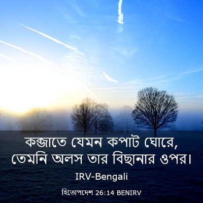 Picture 03 - হিতোপদেশ 26:14 BENIRV - কব্জাতে যেমন কপাট - Bible Verse Picture