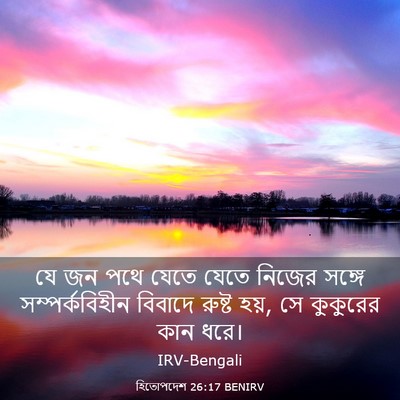 Picture 03 - হিতোপদেশ 26:17 BENIRV - যে জন পথে যেতে যেতে - Bible Verse Picture