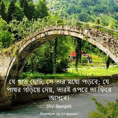 Picture 03 - হিতোপদেশ 26:27 BENIRV - যে খাত ছোট, সে তার - Bible Verse Picture
