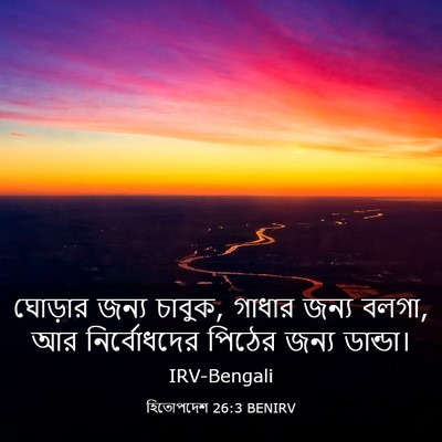 Picture 03 - হিতোপদেশ 26:3 BENIRV - ঘোড়ার জন্য চাবুক, - Bible Verse Picture