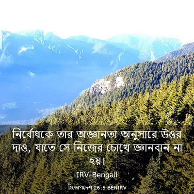 Picture 03 - হিতোপদেশ 26:5 BENIRV - নির্বোধকে তার - Bible Verse Picture