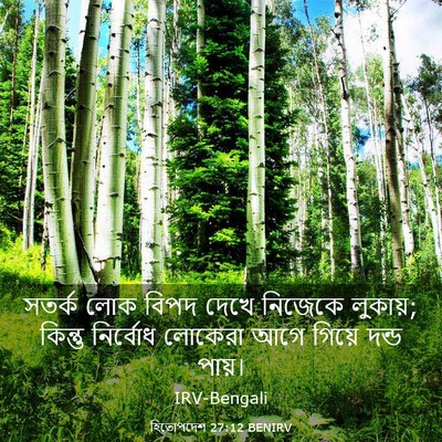 Picture 03 - হিতোপদেশ 27:12 BENIRV - সতর্ক লোক বিপদ - Bible Verse Picture