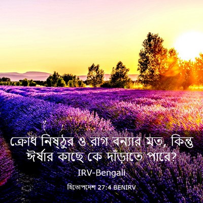 Picture 03 - হিতোপদেশ 27:4 BENIRV - ক্রোধ নিষ্ঠুর ও - Bible Verse Picture