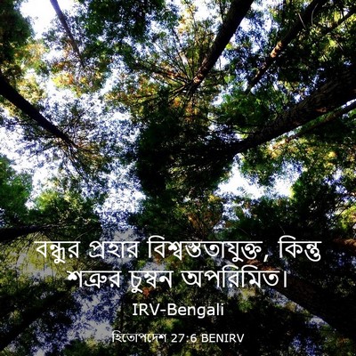 Picture 03 - হিতোপদেশ 27:6 BENIRV - বন্ধুর প্রহার - Bible Verse Picture