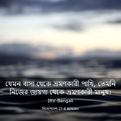 Picture 03 - হিতোপদেশ 27:8 BENIRV - যেমন বাসা থেকে - Bible Verse Picture