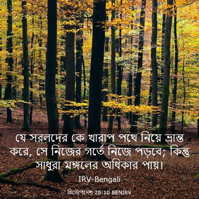 Picture 03 - হিতোপদেশ 28:10 BENIRV - যে সরলদের কে খারাপ - Bible Verse Picture