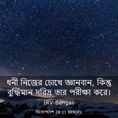Picture 03 - হিতোপদেশ 28:11 BENIRV - ধনী নিজের চোখে - Bible Verse Picture