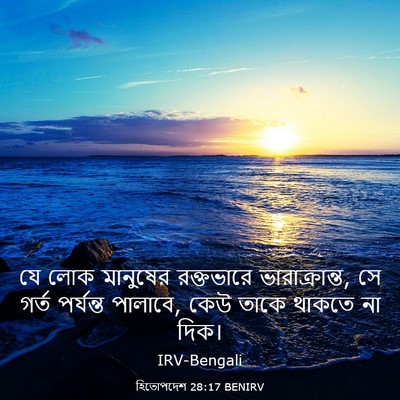 Picture 03 - হিতোপদেশ 28:17 BENIRV - যে লোক মানুষের - Bible Verse Picture