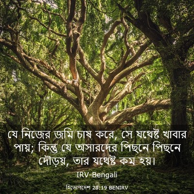 Picture 03 - হিতোপদেশ 28:19 BENIRV - যে নিজের জমি চাষ - Bible Verse Picture