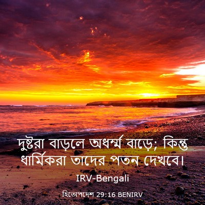 Picture 03 - হিতোপদেশ 29:16 BENIRV - দুষ্টরা বাড়লে - Bible Verse Picture